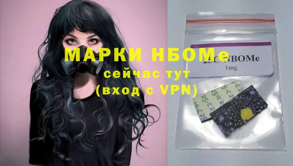 метадон Алексин