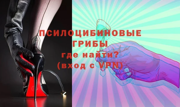 ПСИЛОЦИБИНОВЫЕ ГРИБЫ Алзамай