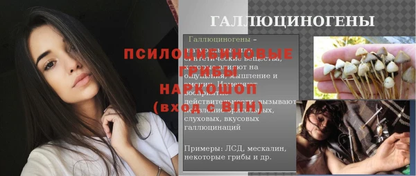 ПСИЛОЦИБИНОВЫЕ ГРИБЫ Алзамай