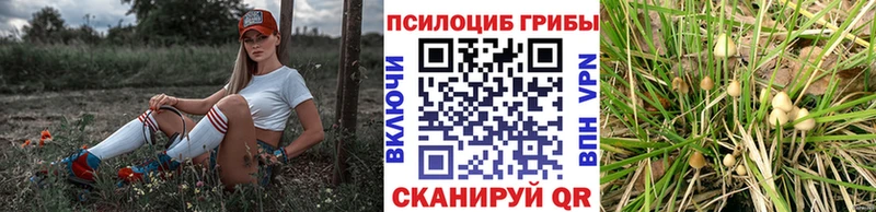 Галлюциногенные грибы MAGIC MUSHROOMS  дарнет шоп  Арзамас 